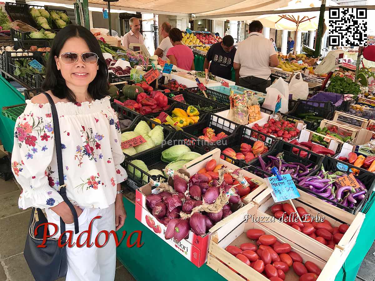 Italy Padova woman at a vegetables market at Piazza delle Erbe.